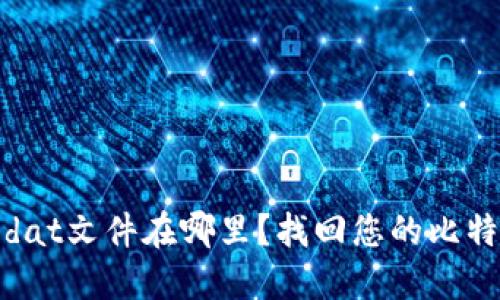 : 比特币钱包dat文件在哪里？找回您的比特币的完整指南