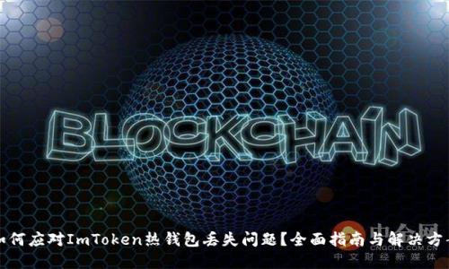 如何应对ImToken热钱包丢失问题？全面指南与解决方案