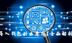 : imToken导入钱包什么意思