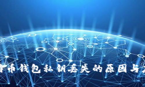 解析比特币钱包私钥丢失的原因与应对措施