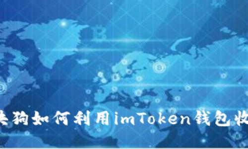 区块狗如何利用imToken钱包收款？