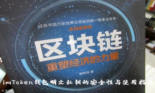 imToken钱包明文私钥的安全性与使用指南