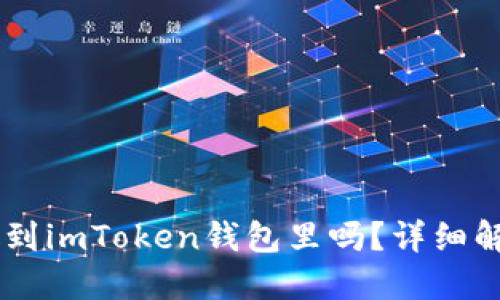 : USDT可以放到imToken钱包里吗？详细解答和使用指南