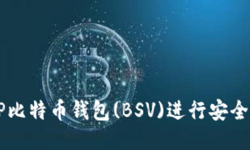 如何使用TP比特币钱包(BSV)进行安全管理与交易