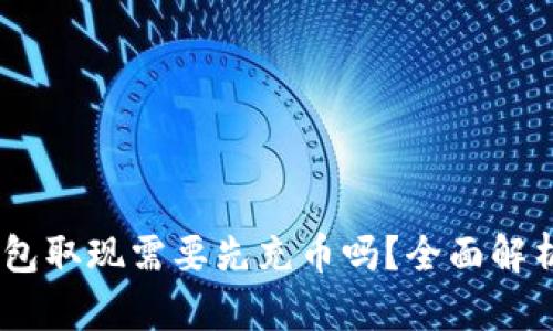 USDT钱包取现需要先充币吗？全面解析与指导