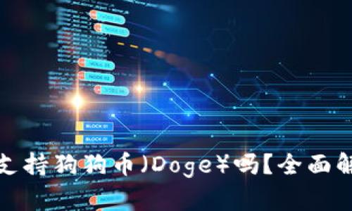 : iM钱包到底支持狗狗币（Doge）吗？全面解读及使用指南