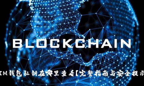 IM钱包私钥在哪里查看？完整指南与安全提示