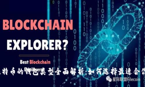 题目：比特币的钱包类型全面解析：如何选择最适合你的钱包