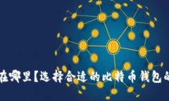 比特币钱包在哪里？选择合适的比特币钱包的方
