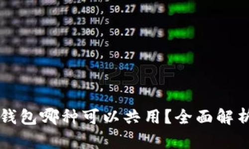 比特币钱包哪种可以共用？全面解析与推荐