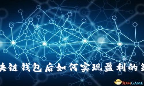 开发区块链钱包后如何实现盈利的策略分析