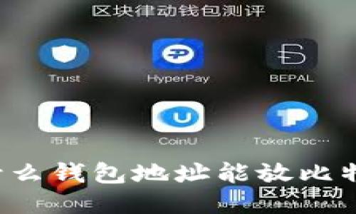 为什么钱包地址能放比特币？