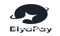 提供区块链钱包是违法的