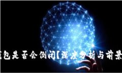 IM钱包是否会倒闭？深度分析与前景展望