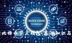 全面解析比特币节点钱包：基础知识与操作指南