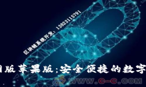 USDT钱包官网版苹果版：安全便捷的数字货币储存方案