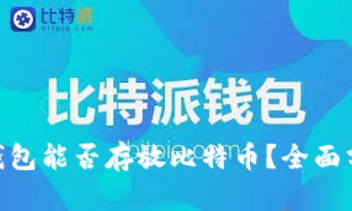 imToken钱包能否存放比特币？全面分析与解答