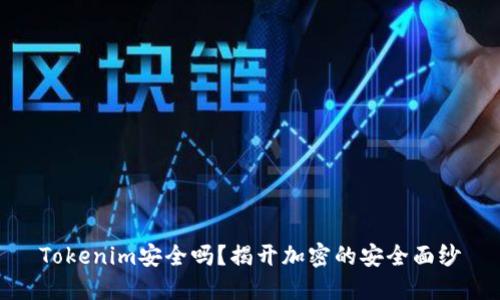 Tokenim安全吗？揭开加密的安全面纱