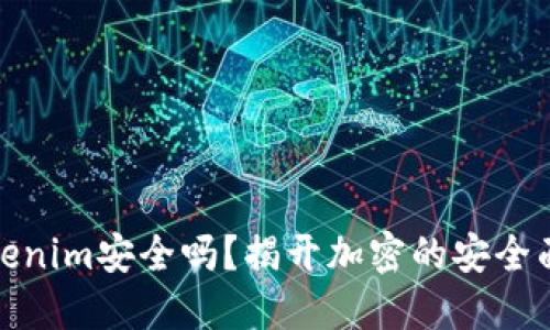 Tokenim安全吗？揭开加密的安全面纱